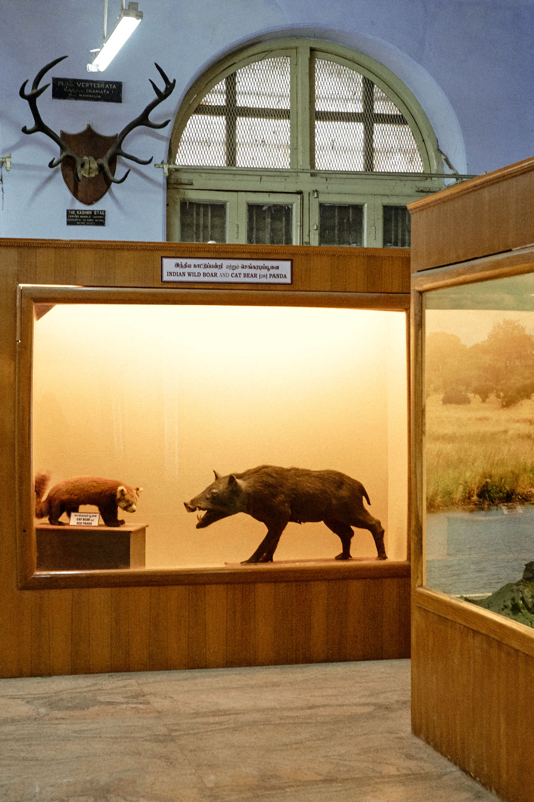 Government Art Museum Chennai